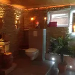 Wasgaublick Apartment